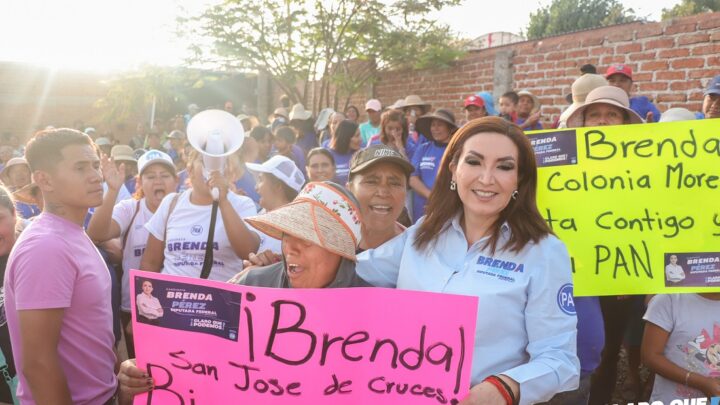 Mejor sistema de salud, piden irapuatenses a Brenda Pérez
