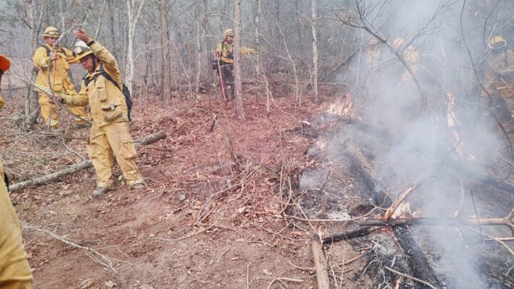 Incendio forestal entre GTO y SLP no ha podido ser controlado