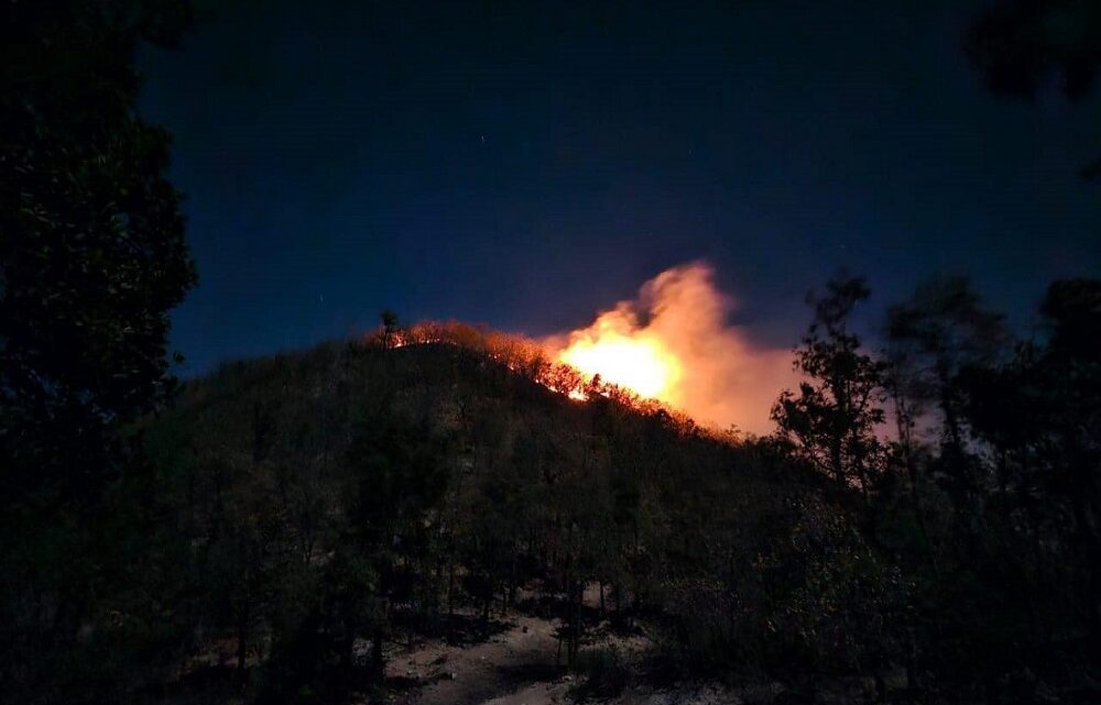 Incendio en Sierra de Santa Rosa ya consumió más de 1700 hectáreas: sigue activo