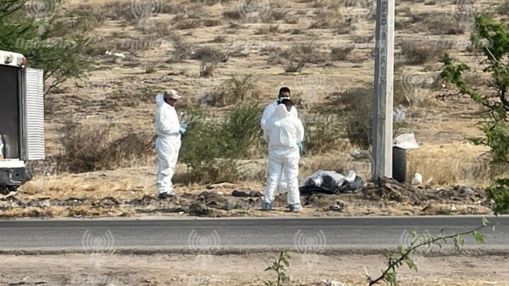 Encuentran cadáver emplayado, a metros de la carretera Irapuato-León