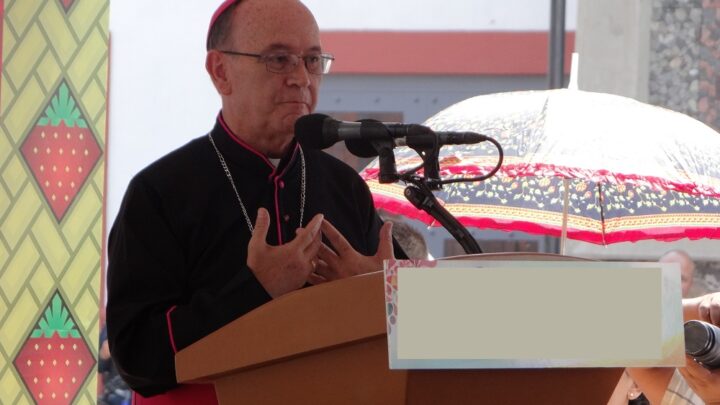 Autoridades no deben ocultar inseguridad, sino atenderla: Obispo de Irapuato