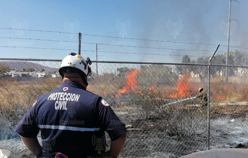 Van 49 procedimientos iniciados por quemas en Irapuato; ya hay 17 multas